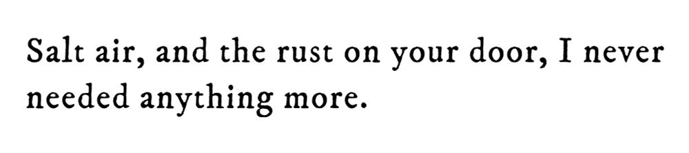 Black text on white background reading: Salt air, and the rust on your door, I never needed anything more.