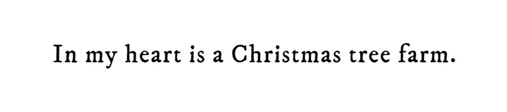 Black text on white background reading: In my heart is a Christmas tree farm.