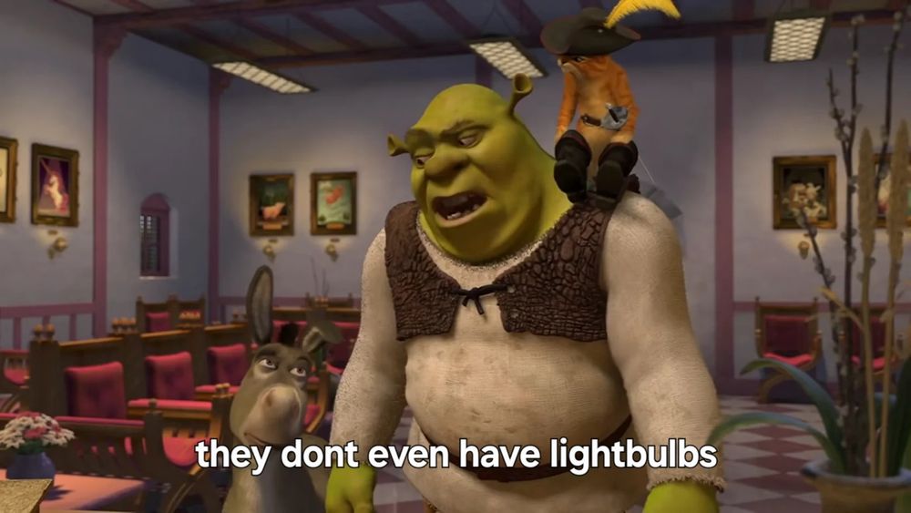the "they dont even have dental" frame from dreamworks' shrek 2 but edited to say they dont even have lightbulbs
