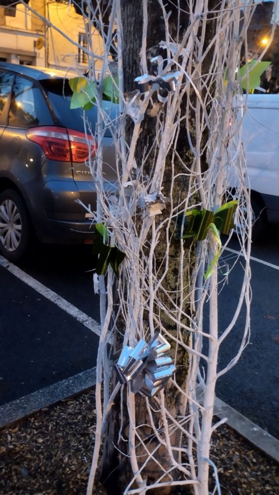 Fagot de branches peintes en blanc avec noeuds verts et argentés accroché autour d'un arbre de ville
