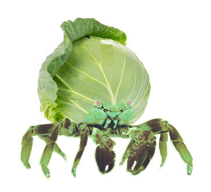Crabbage