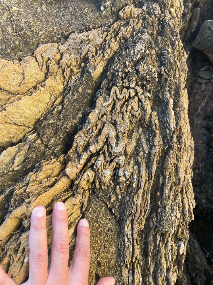 M-folds in kyanite-garnet micaschists / quartzite layers 