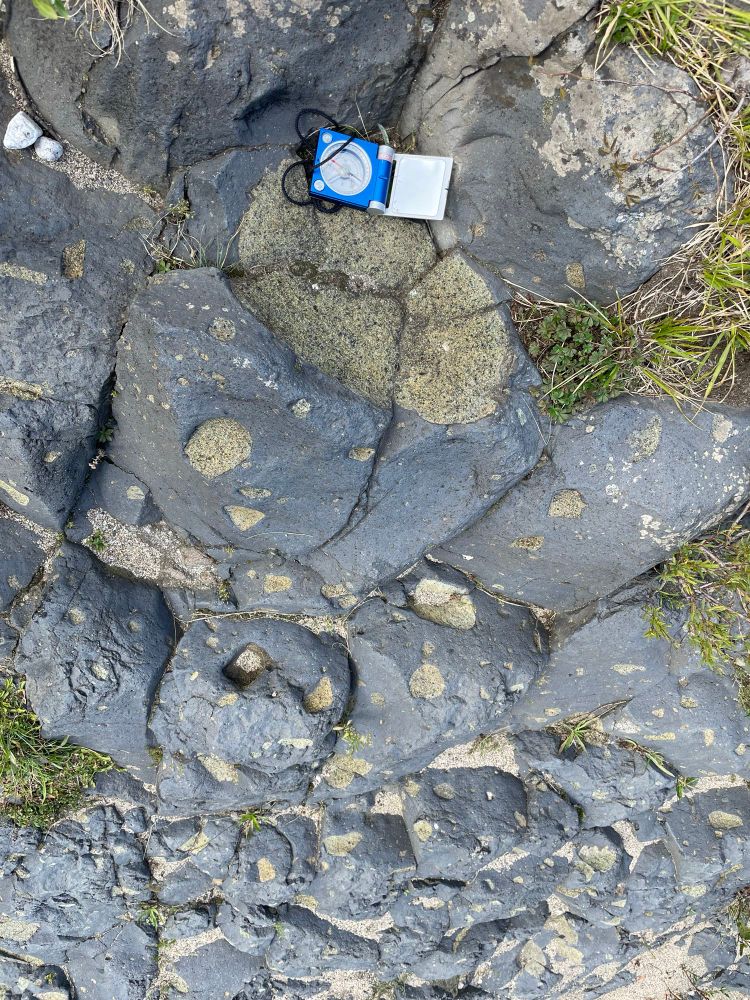 Peridotite xenoliths in basanite 