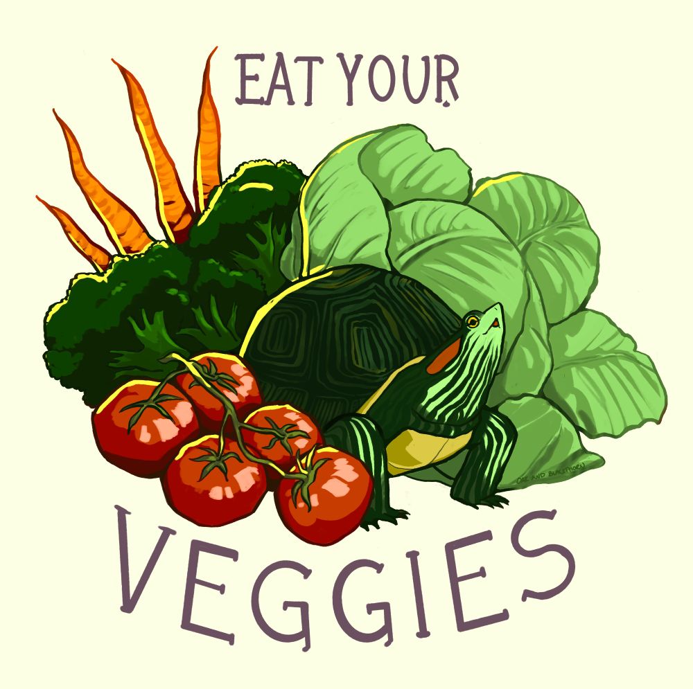 Illustration: Text says "Eat your veggies". a little box turtle sits surrounded by broccoli, tomatoes, cabbage, and carrots. It looks happy.