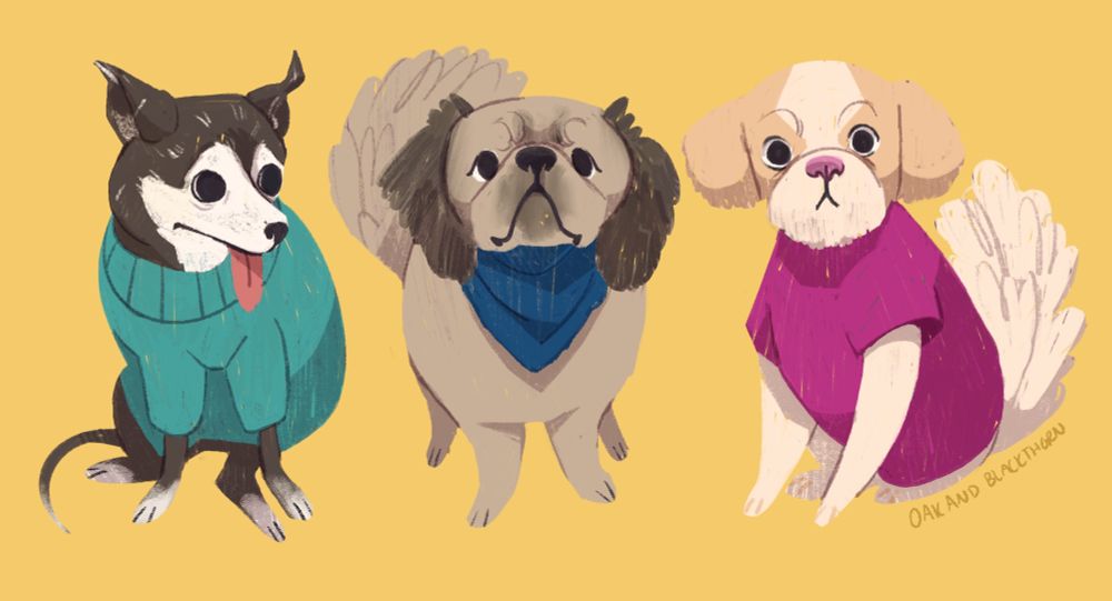 Kid lit style illustration of 3 dogs--a black chihuahua in a teal sweater, a brown pekingese in a blue handkerchief, and a blond shitzu in a fuchsia coat on a yellow background