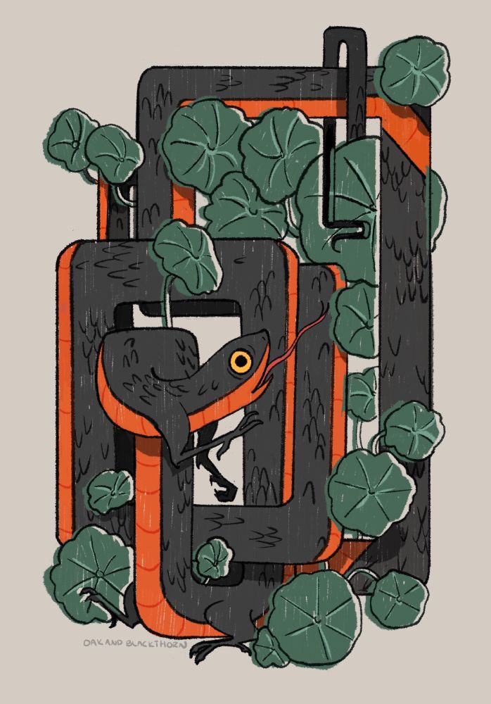 illustration of a red and black Gartner snake dragon with little legs coiled around nasturtium leaves