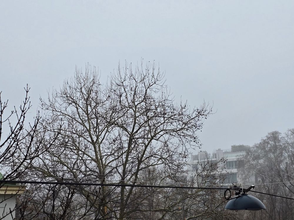 Bedeckter Himmel, blattlose Bäume, eine Straßenlaterne, die irgendwie an ein Ufo erinnert, deren Stromkabel dem Straßenverlauf folgt. Mehrfamilienbauten im Hintergrund
