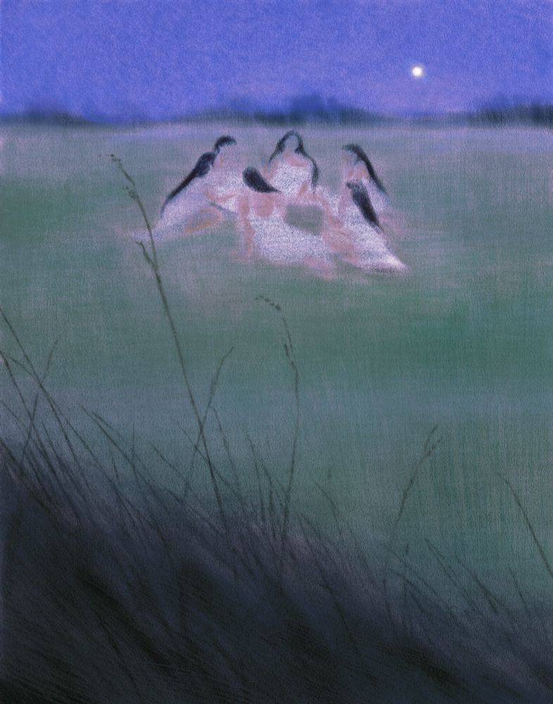 Six ethereal women sitting in a circle in the middle of a meadow in the evening. They are wearing white dresses. The sky is indigo and the moon hovers low to the horizon. The foreground has long grass swaying left to the frame. 