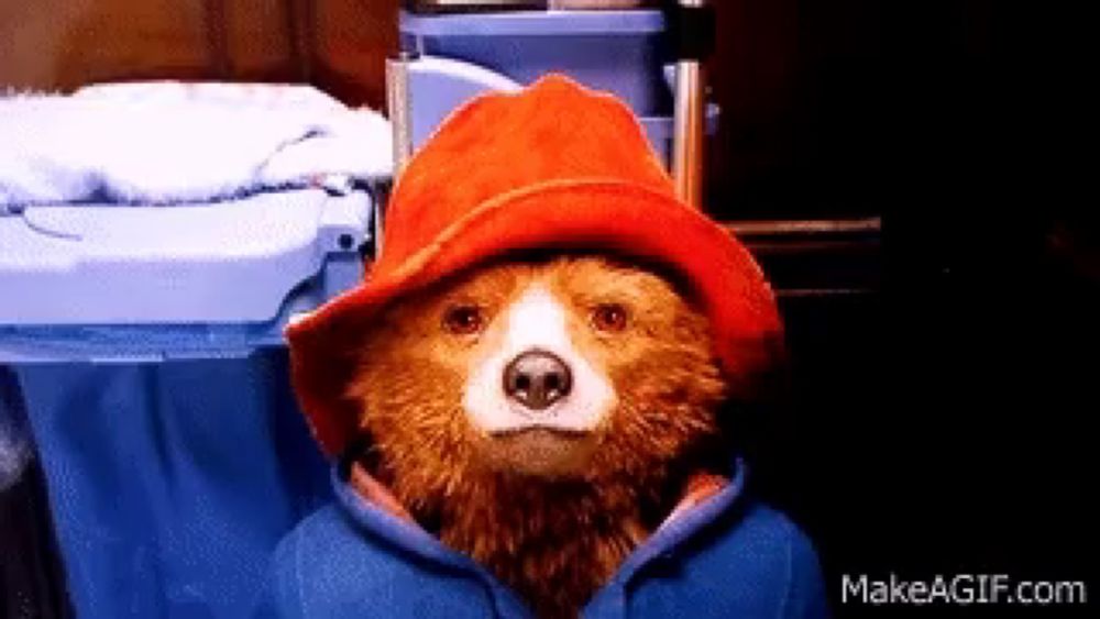 a bear wearing a red hat and a blue hoodie