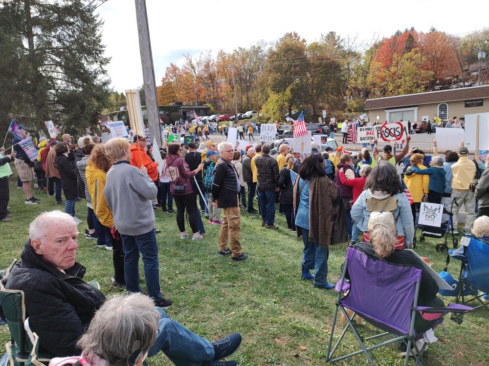 A crowd of people holding signs and US flags protesting the Trump Administration
