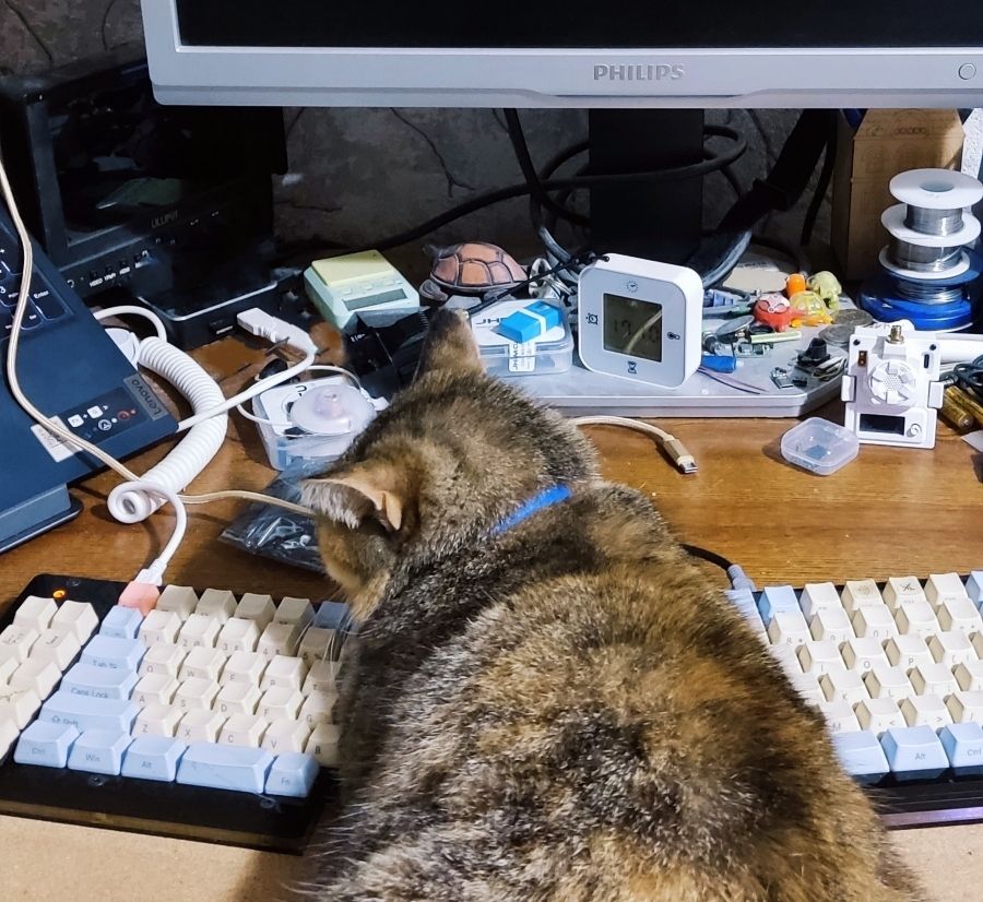 Split keyboard and cat between two sides