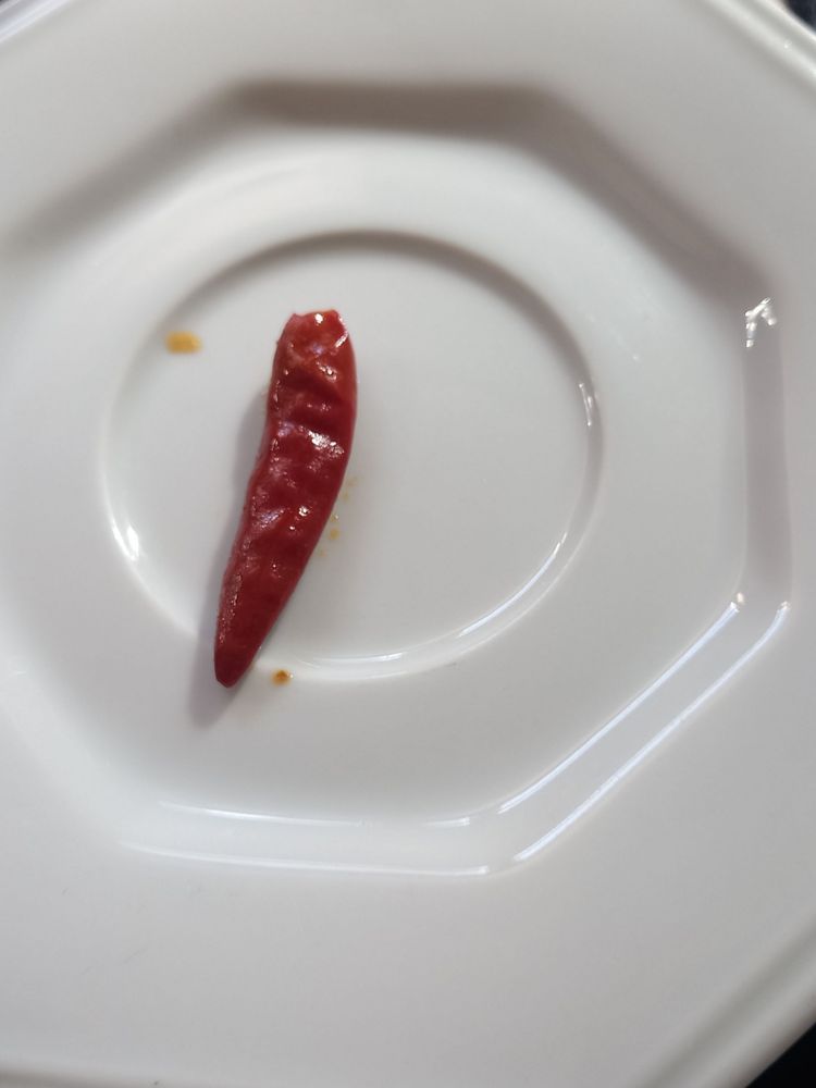 Uma pimenta INTEIRA dentro do curry