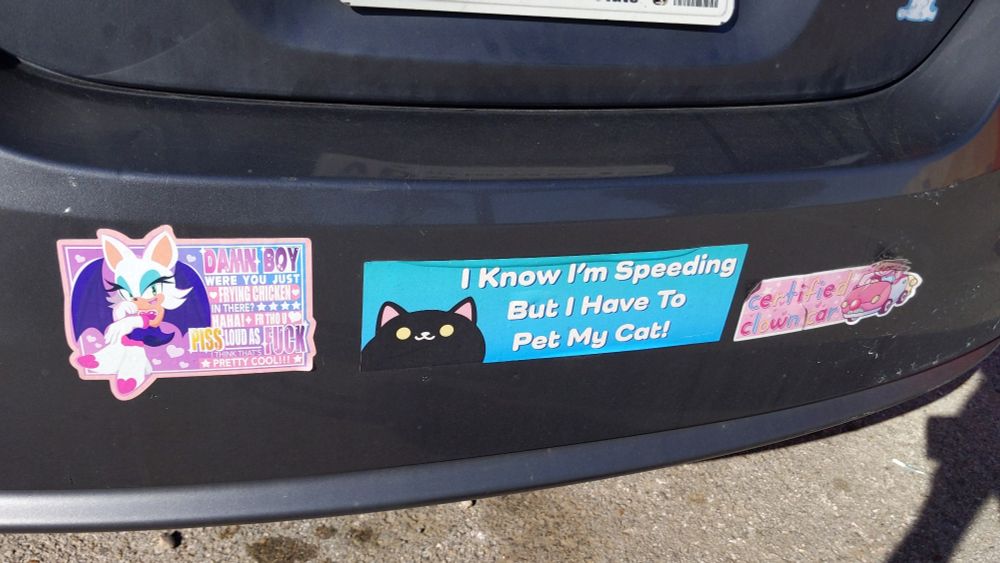 car with 3 bumper stickers.
1 - "damn boy were you just frying chicken in there? haha! fr tho you piss loud as fuck i think that's pretty cool!!"
2 - "i know I'm speeding but i have to pet my cat!"
3 - "creative clown car" 