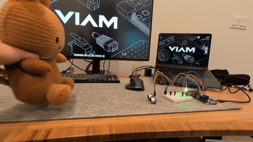 A Miffy plushie is placed closer to and farther away from an ultrasonic sensor as it gets closer, an LED on a connected breadboard and Raspberry Pi lights up red. As the plushie moves away, the LED lights up green. 