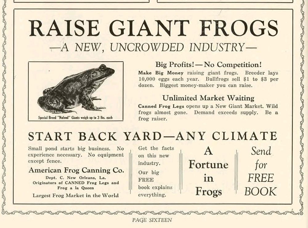 Advertisement: Raise Giant Frogs - A new, uncrowded industry -