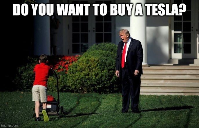 Trump yelling "Do you want to buy a Tesla?" at a kid pushing a lawnmower.