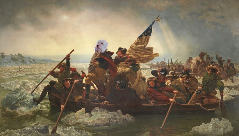 Washington crossing the Delaware but Washington's head is a photo of my dog, who has a dignified mien.