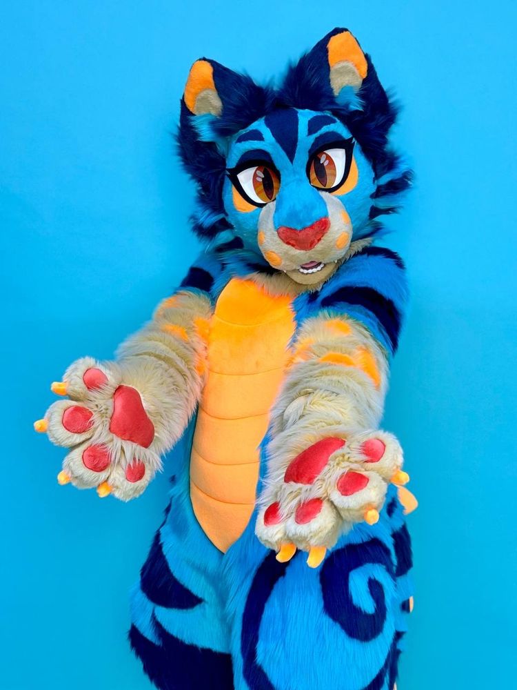 A blue and orange cat fursuiter poses with hand paws held outwards