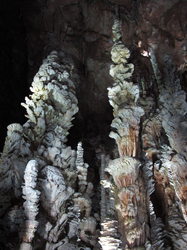 Stalagmites de l'Aven Armand sous le cause Méjean en Lozère. Ensemble de concrétions évoquant des bouquets de fleurs .