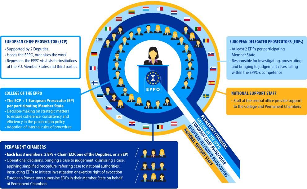 Organigramm der Europäischen Staatsanwaltschaft (EUStA) in Kreisform. Innen die EU Generalanwältin, im nächsten Kreis das Kollegium aller Europäischer Staatsanwälte (jedes Mitgliedsland der EUStA entsendet einen). Im weiteren Kreis die ständigen Senate. Es folgen die Kreise delegierte Staatsanwälte und nationaler Support Stuff. In kleinen Feldern werden die Aufgaben der jeweiligen Ebene in englischer Sprache beschrieben.