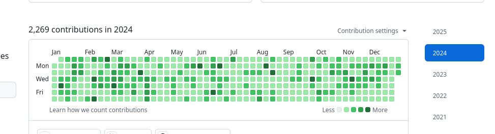 Screenshot of my activity graph on Github, showing a green dot for every day in 2024.