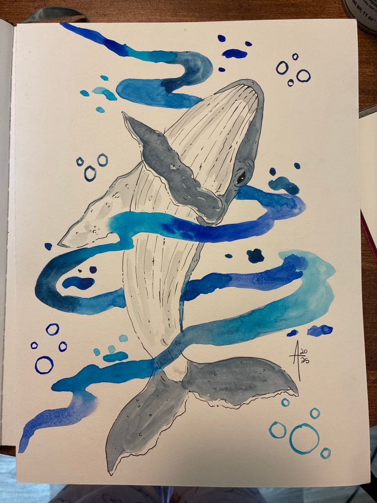 An illustration of a whale 