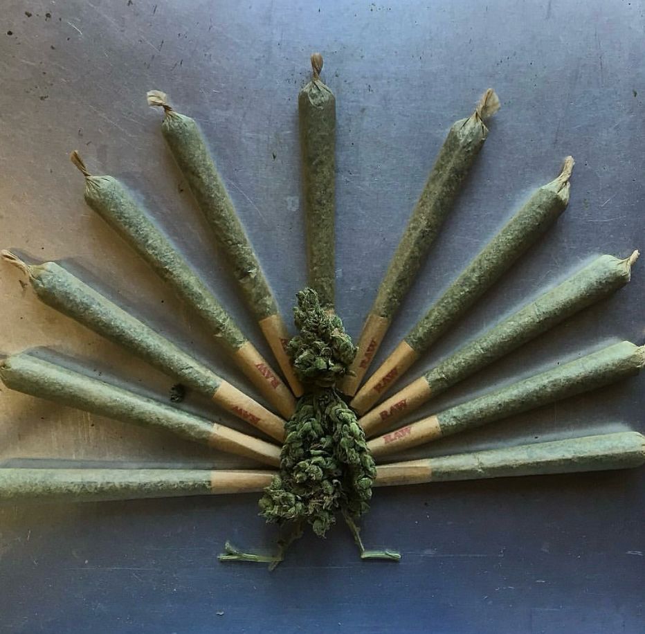 Thanksgiving turkey made of marijuana joints 