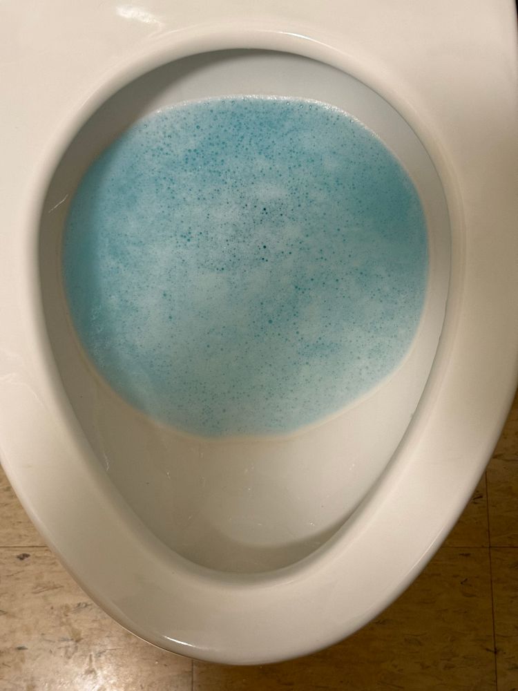 A toilet with blue water. 