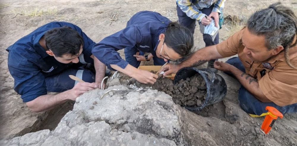 Barkindji custodians near Broken Hill continue to care for ancestral dingo remains with help from ar...