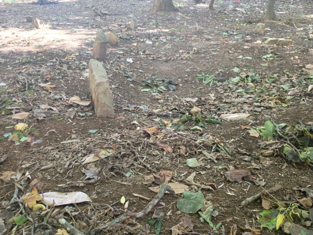 All that remains of this cemetary is indentations in the ground and stones arranged in rows. It is the St. Lloyd Presbyterian Church Cemetary, by the way. I'm watching people let their dogs shit here. 