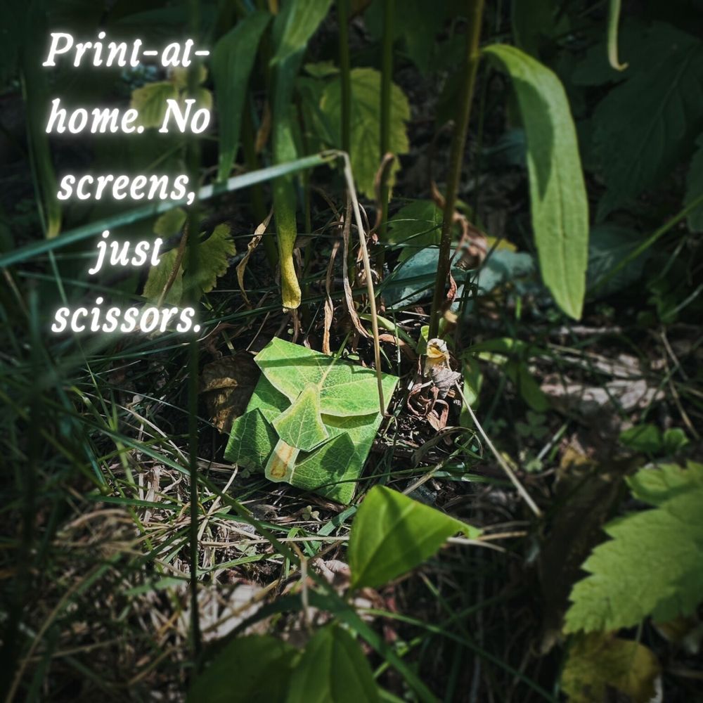 A green folded paper envelope made to look like a leaf sits hidden among grass and dry leaves. Text reads: “Print-at-home. No screens, just scissors.”