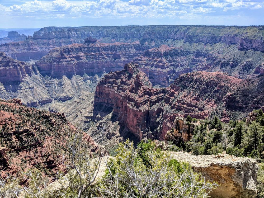 A panoramic view of the Grand Canyon from the North Rim, showcasing its immense scale and the distinct red and orange rock layers. In the foreground, green scrub brushes and small trees are visible on a rocky outcrop. Beyond, the vast canyon stretches out, revealing numerous rock formations and deep crevices, with varying shades of red, brown, and grey. The sky above is partly cloudy with patches of blue.