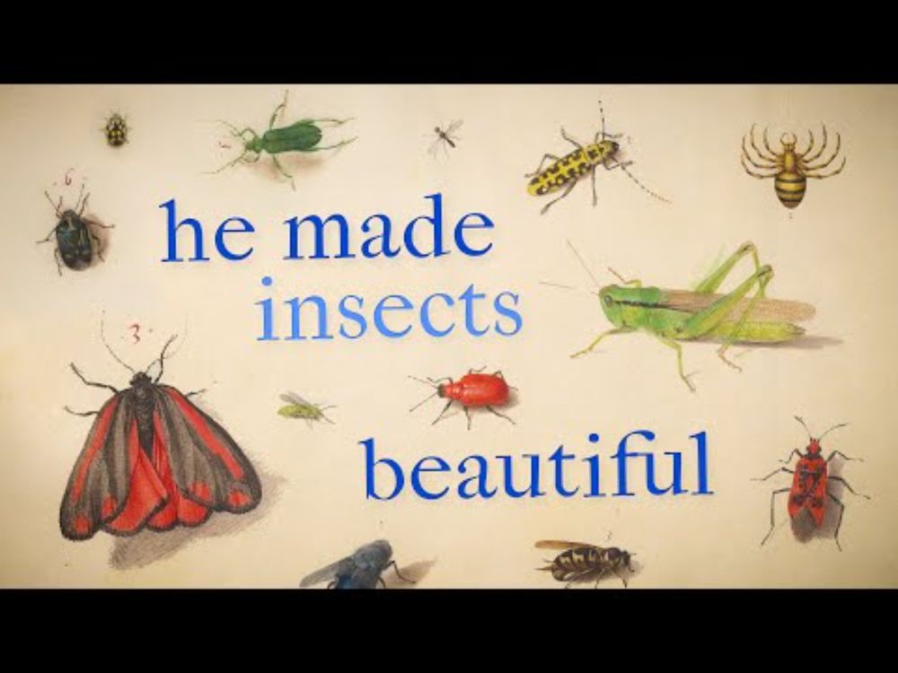 He Painted Bugs Like Jewels — And Changed Science Forever