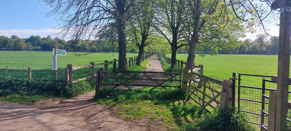 Unfortunately, cyclists (over age of 5) are not allowed on Dunham Estate. A real shame because the carriage drive shown here is a lovely tree lined lane with a decent gravel surface through the deer park.
