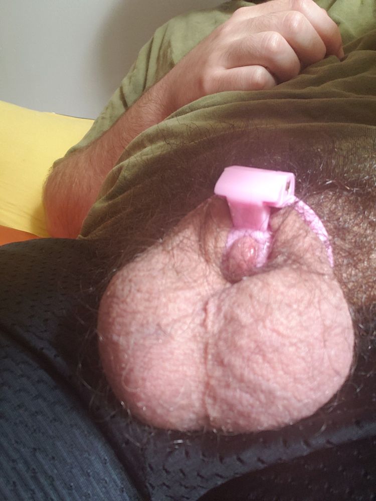 tiny chastity cage, huge nuts