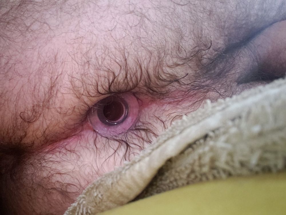wet hairy anus with a see through plug