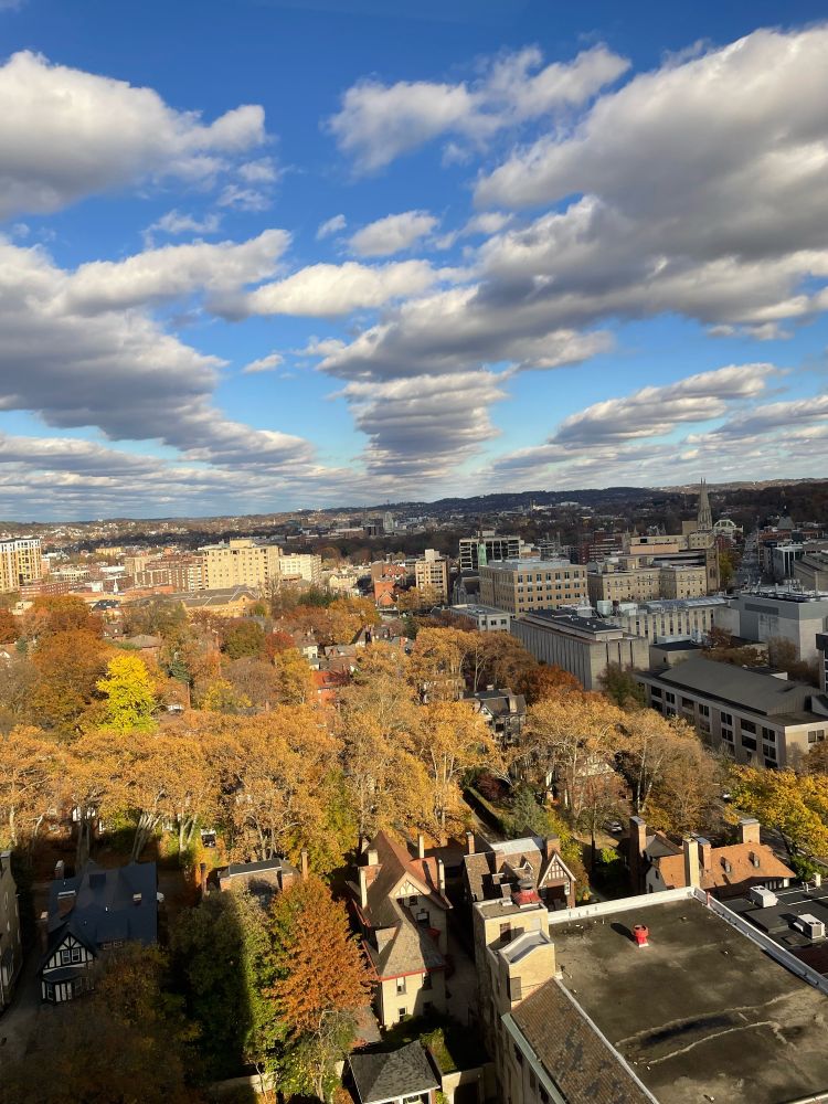 View of Pittsburgh overlooking the golds and oranges of autumn foliage in the city. 