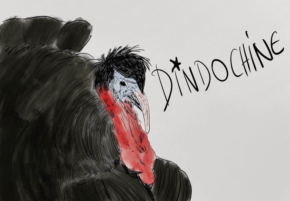 Dessin d'un dindon avec la coupe de cheveux de Nicola Sirkis. En texte à côté: "DINDOCHINE".