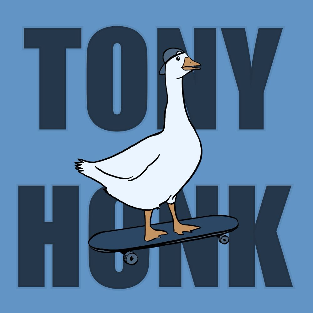 Dessin d'une oie sur un skateboard avec écrit derrière "TONY HONK"