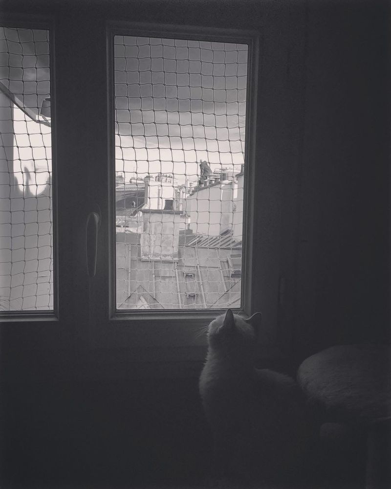 Photo en noir et blanc. Mon chat Maneki est de dos et regarde par la fenêtre un ciel sombre et menaçant.