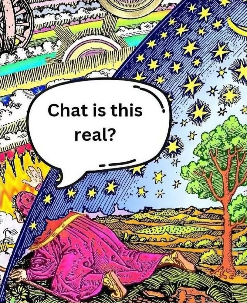 "chat is this real?" with a person peering out into the reality beyond this one 