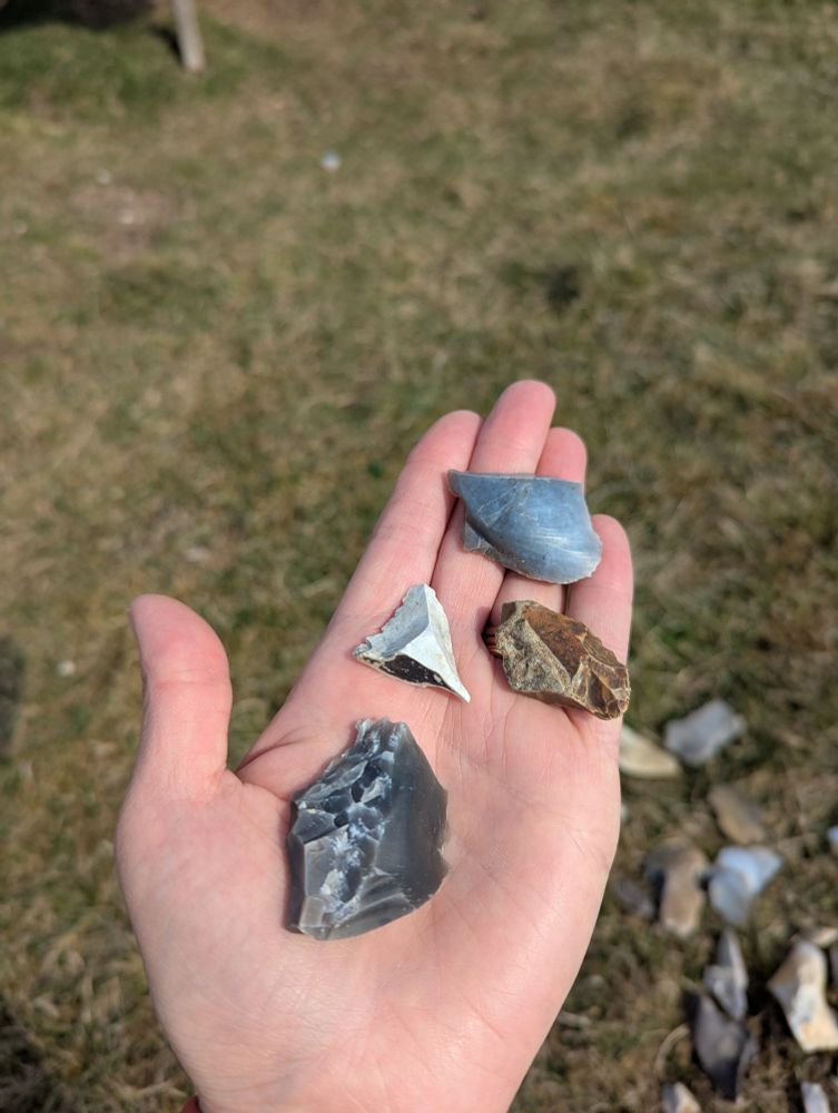 Four pieces of flint, blue, white, brown and dark grey.