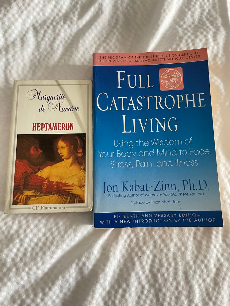 2 books on hotel bed - Marguerite de Navarre’s Heptameron in French on left, blue paperback Full Catastrophe Living - Using the Wisdom of Your Body and Mind to Face Stress, Pain, and Illness by Jon Kabat-Zinn on right 