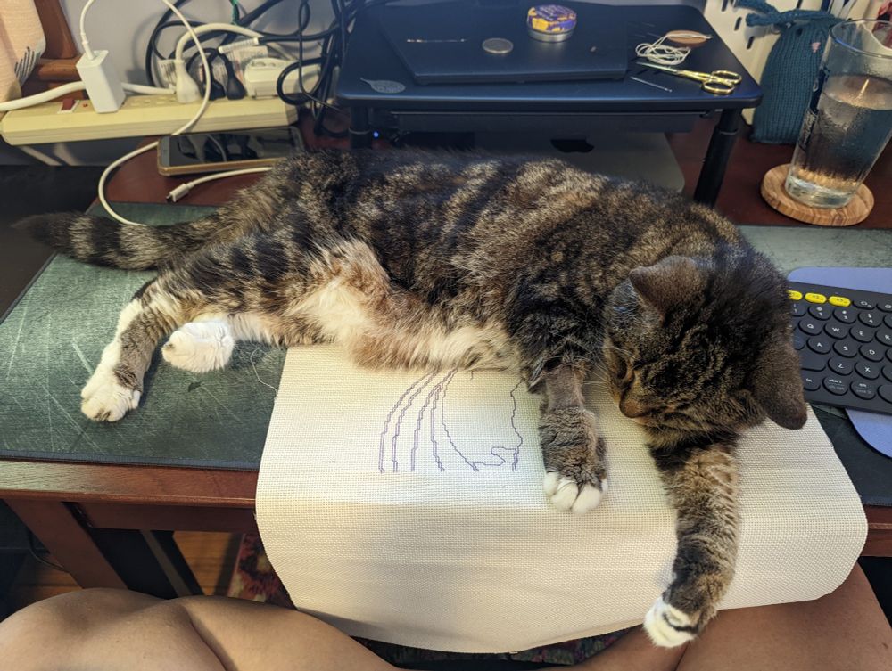Tiger striped brown cat laying on desk in front of a computer and on top of fabric that is being traced for embroidery.