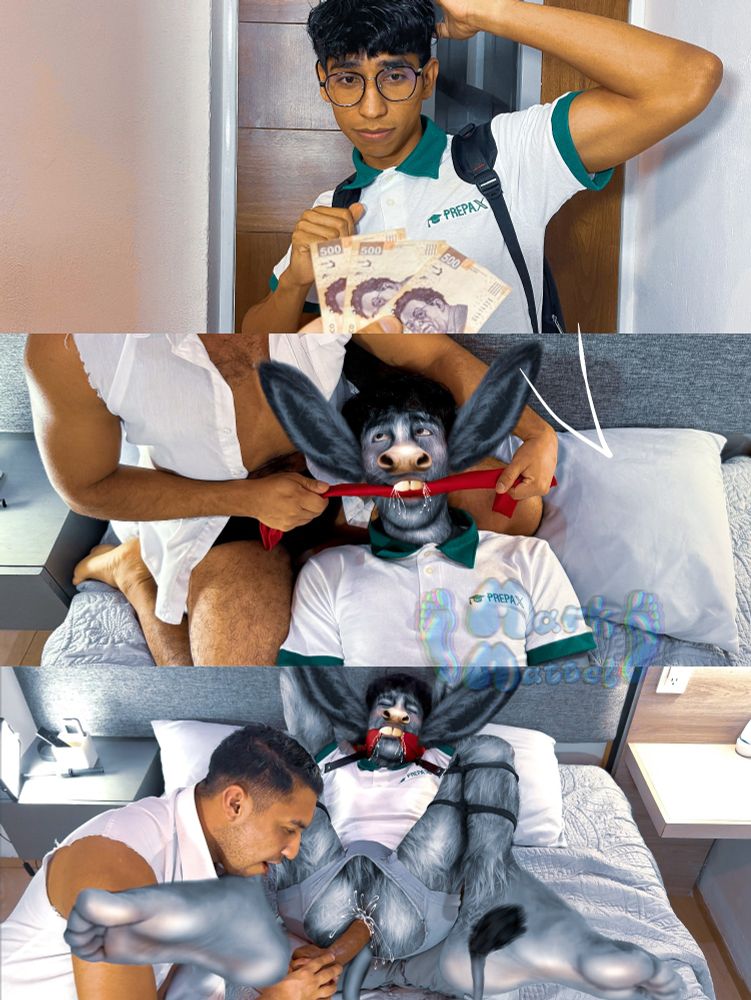 A 3 part photomanip sequence, first image Is a guy being offered Money, second part Is the same guy now transforming into a donkey with donkey features like ears, muzzle and big teeth, drooling and being gagged with a handkerchief, third image Is him using a dildo with a good look at the rest of his transformed body including a pair of really big oversized feet 