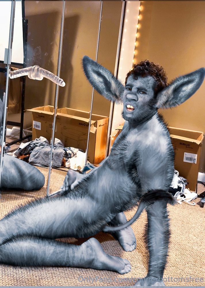 Transformation themed photomanip of Connor bottoms turned into a donkey