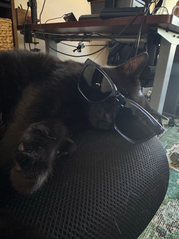 A black cat asleep with sun glasses resting on his head.