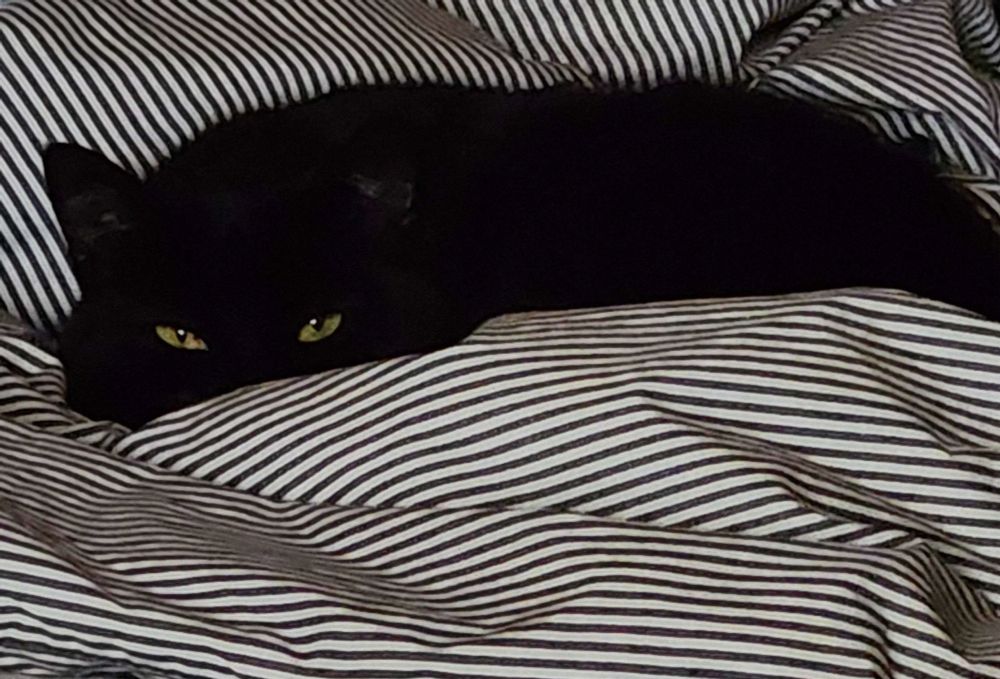 A black cat flatly laying down on a black and white striped duvet. His eyes are slightly closed.