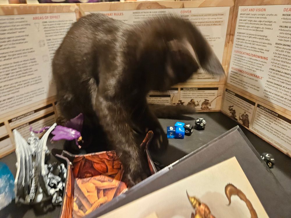 a black kitten sits behind a gm screen and scoops a die out of a rolling tray.  he is moving quickly enough his head is blurred