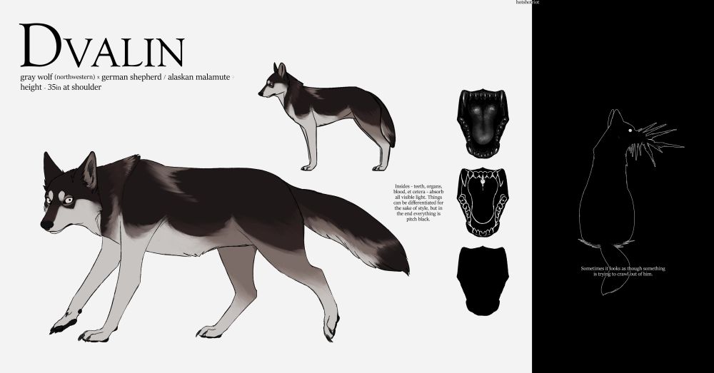A reference sheet for a brownish-gray "wolfdog" character named Dvalin. It is hinted that he is at least partially some form of monster.